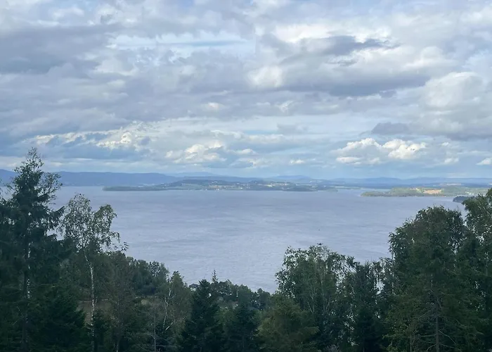 Luxury Cabin, Wellness And View Over The Tyrifjord Feriehus