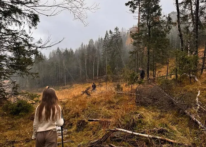 Feriehus Luxury Cabin, Wellness And View Over The Tyrifjord Vikersund